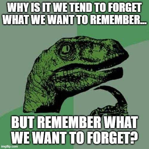 Drawing A Blank | WHY IS IT WE TEND TO FORGET WHAT WE WANT TO REMEMBER... BUT REMEMBER WHAT WE WANT TO FORGET? | image tagged in memes,philosoraptor,deep thoughts,so true,remember,forgetting | made w/ Imgflip meme maker