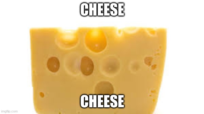 Cheese | CHEESE; CHEESE | image tagged in cheese | made w/ Imgflip meme maker