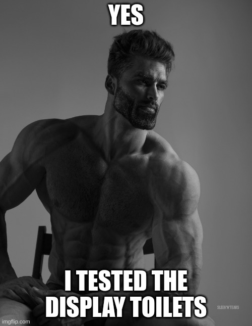 Giga Chad | YES; I TESTED THE DISPLAY TOILETS | image tagged in giga chad | made w/ Imgflip meme maker