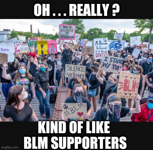OH . . . REALLY ? KIND OF LIKE 
BLM SUPPORTERS | made w/ Imgflip meme maker