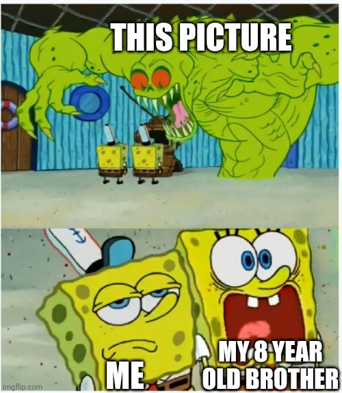 SpongeBob SquarePants scared but also not scared | THIS PICTURE ME MY 8 YEAR OLD BROTHER | image tagged in spongebob squarepants scared but also not scared | made w/ Imgflip meme maker