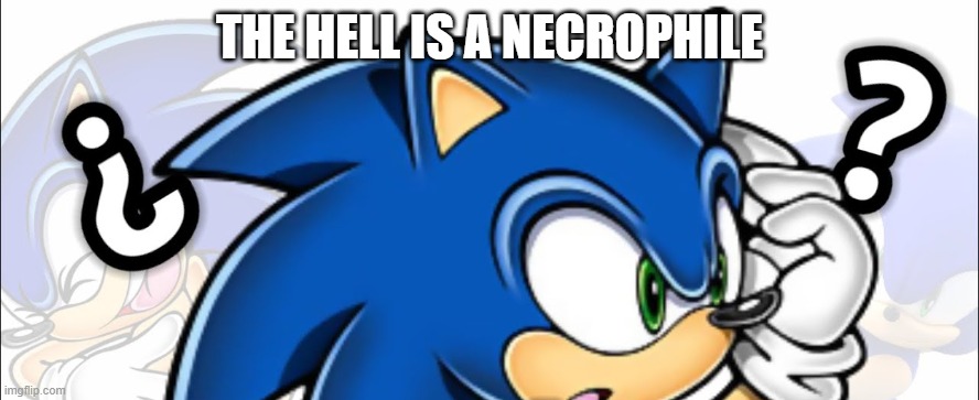 THE HELL IS A NECROPHILE | made w/ Imgflip meme maker