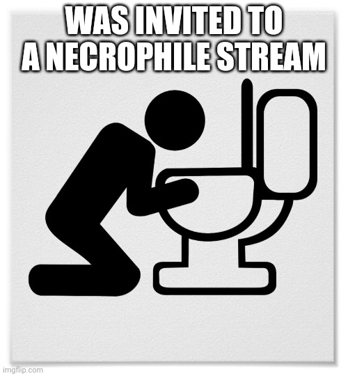 Barfing into the Toilet | WAS INVITED TO A NECROPHILE STREAM | image tagged in barfing into the toilet | made w/ Imgflip meme maker