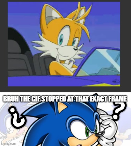 BRUH THE GIF STOPPED AT THAT EXACT FRAME | image tagged in questioning sonic | made w/ Imgflip meme maker