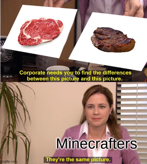 this true tho | Minecrafters | image tagged in memes,they're the same picture | made w/ Imgflip meme maker