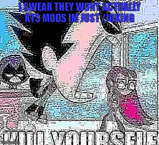 Robin Kill Yourself | I SWEAR THEY WONT ACTUALLY KTS MODS IM JUST /JOKING | image tagged in robin kill yourself | made w/ Imgflip meme maker