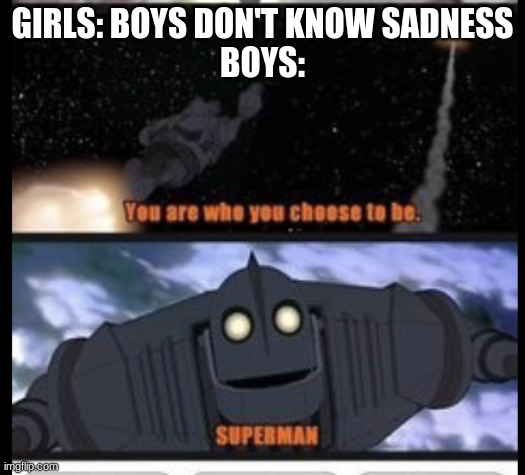 The ultimate scene of sadness | GIRLS: BOYS DON'T KNOW SADNESS
BOYS: | image tagged in the ultimate scene of sadness | made w/ Imgflip meme maker