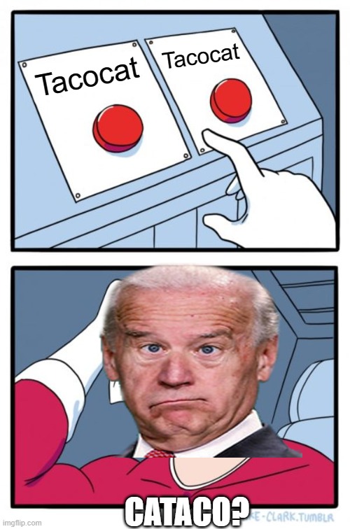 Bidens big decision | Tacocat; Tacocat; CATACO? | image tagged in memes,two buttons | made w/ Imgflip meme maker