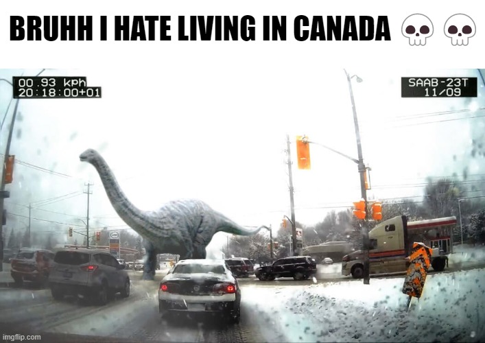 I hate living there | BRUHH I HATE LIVING IN CANADA 💀💀 | image tagged in dinosaur,canada,i hate living in | made w/ Imgflip meme maker