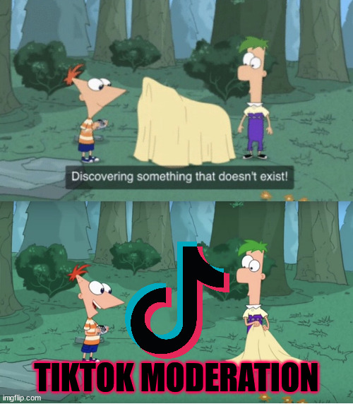 Why are explicit videos of African women all over my For You Page? | TIKTOK MODERATION | image tagged in discovering something that doesn t exist | made w/ Imgflip meme maker
