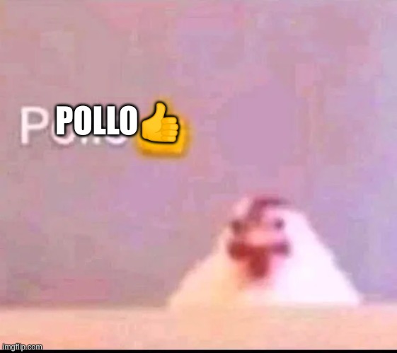Pollo | POLLO👍 | image tagged in pollo | made w/ Imgflip meme maker