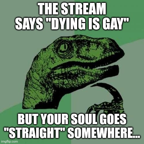 F | THE STREAM SAYS "DYING IS GAY"; BUT YOUR SOUL GOES "STRAIGHT" SOMEWHERE... | image tagged in memes,philosoraptor | made w/ Imgflip meme maker