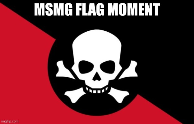 MSMG rebellion flag | MSMG FLAG MOMENT | image tagged in msmg rebellion flag | made w/ Imgflip meme maker
