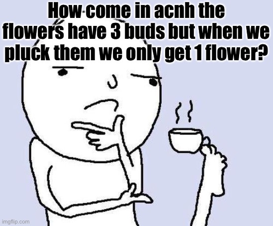 Hmmmm | How come in acnh the flowers have 3 buds but when we pluck them we only get 1 flower? | image tagged in thinking meme | made w/ Imgflip meme maker