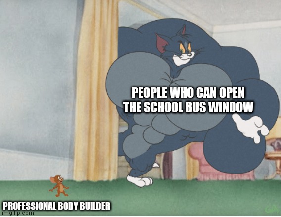 Strong tom | PEOPLE WHO CAN OPEN THE SCHOOL BUS WINDOW; PROFESSIONAL BODY BUILDER | image tagged in strong tom | made w/ Imgflip meme maker