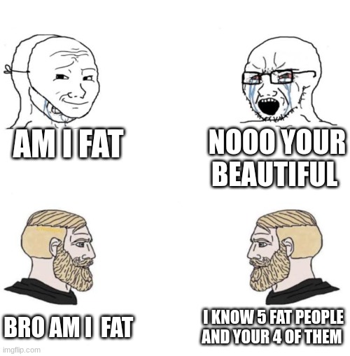 Chad we know |  AM I FAT; NOOO YOUR BEAUTIFUL; I KNOW 5 FAT PEOPLE AND YOUR 4 OF THEM; BRO AM I  FAT | image tagged in chad we know | made w/ Imgflip meme maker