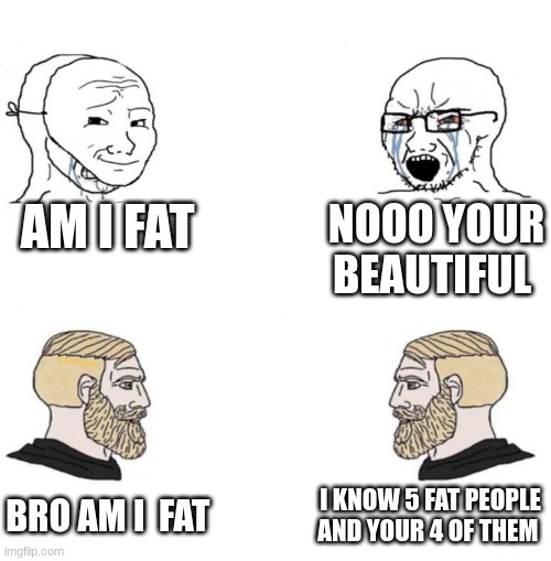 Chad we know | AM I FAT; NOOO YOUR BEAUTIFUL; I KNOW 5 FAT PEOPLE AND YOUR 4 OF THEM; BRO AM I  FAT | image tagged in chad we know | made w/ Imgflip meme maker