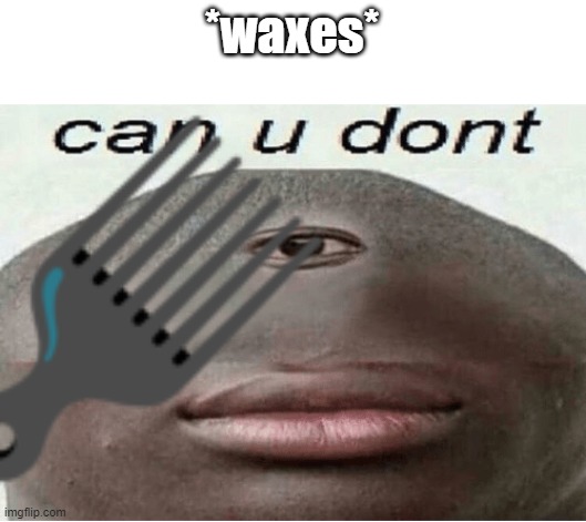 *waxes* | *waxes* | image tagged in can u dont,hair pick,waxes | made w/ Imgflip meme maker