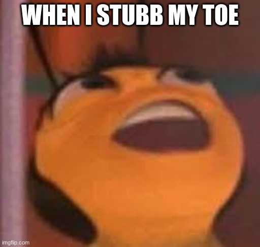 funny bee | WHEN I STUBB MY TOE | image tagged in funny bee | made w/ Imgflip meme maker