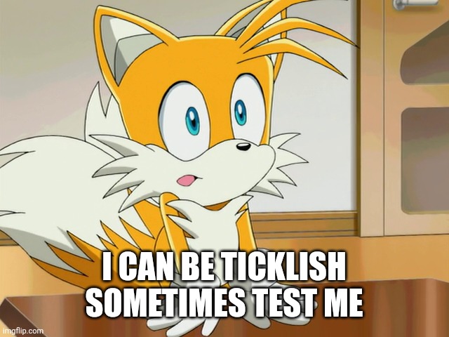 mod note: no | I CAN BE TICKLISH SOMETIMES TEST ME | image tagged in tails | made w/ Imgflip meme maker