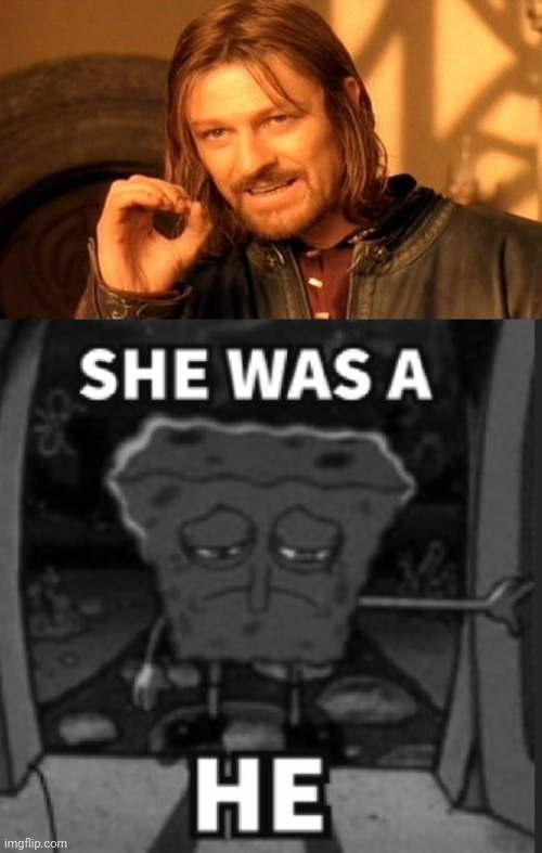 image tagged in memes,one does not simply,she was a he | made w/ Imgflip meme maker