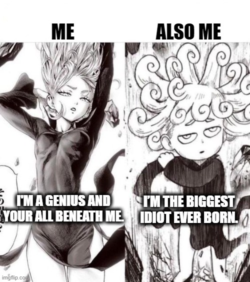 I check my own ego | ME; ALSO ME; I'M A GENIUS AND YOUR ALL BENEATH ME. I’M THE BIGGEST IDIOT EVER BORN. | image tagged in anime,manga,one punch man,self esteem | made w/ Imgflip meme maker