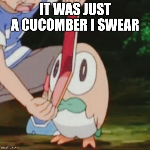 Mouth Wide Open Rowlet | IT WAS JUST A CUCOMBER I SWEAR | image tagged in mouth wide open rowlet | made w/ Imgflip meme maker