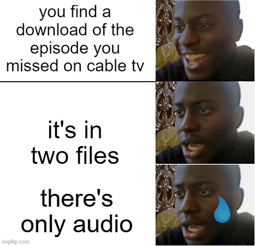 why tho bruh | you find a download of the episode you missed on cable tv; it's in two files; there's only audio | image tagged in disappointed black guy | made w/ Imgflip meme maker