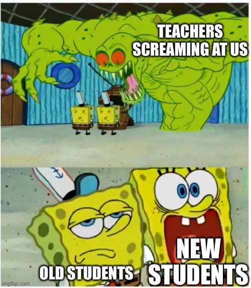 also true story | TEACHERS SCREAMING AT US; NEW STUDENTS; OLD STUDENTS | image tagged in spongebob squarepants scared but also not scared | made w/ Imgflip meme maker