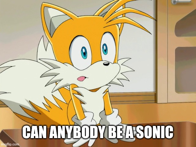 I need one | CAN ANYBODY BE A SONIC | image tagged in tails | made w/ Imgflip meme maker