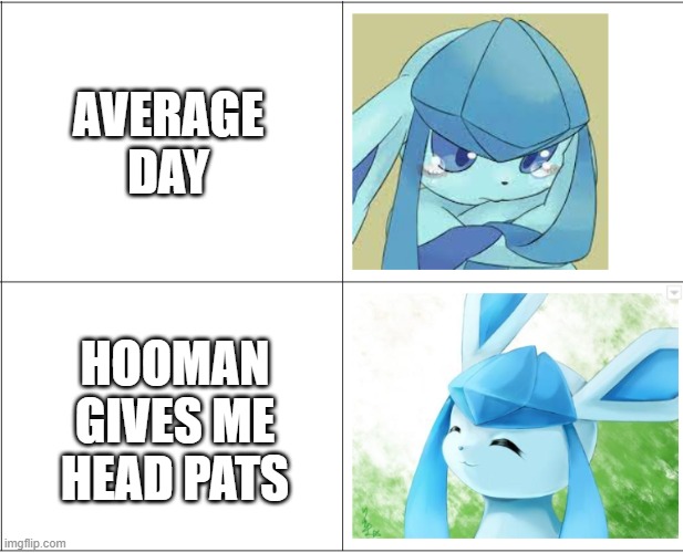 sad, happy glaceon | AVERAGE DAY; HOOMAN GIVES ME HEAD PATS | image tagged in sad happy glaceon | made w/ Imgflip meme maker