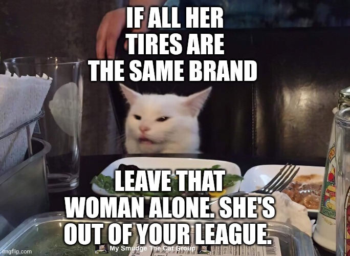IF ALL HER TIRES ARE THE SAME BRAND; LEAVE THAT WOMAN ALONE. SHE'S OUT OF YOUR LEAGUE. | image tagged in smudge the cat | made w/ Imgflip meme maker