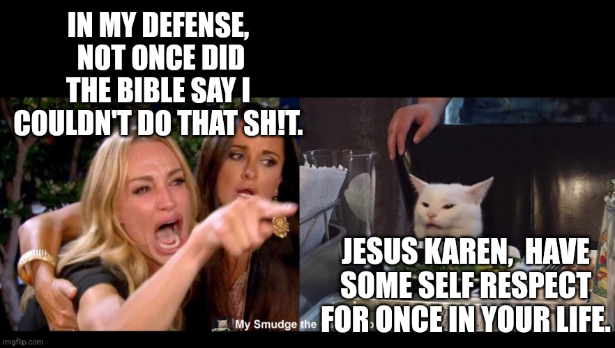 IN MY DEFENSE,  NOT ONCE DID THE BIBLE SAY I COULDN'T DO THAT SH!T. JESUS KAREN,  HAVE SOME SELF RESPECT FOR ONCE IN YOUR LIFE. | image tagged in smudge the cat | made w/ Imgflip meme maker