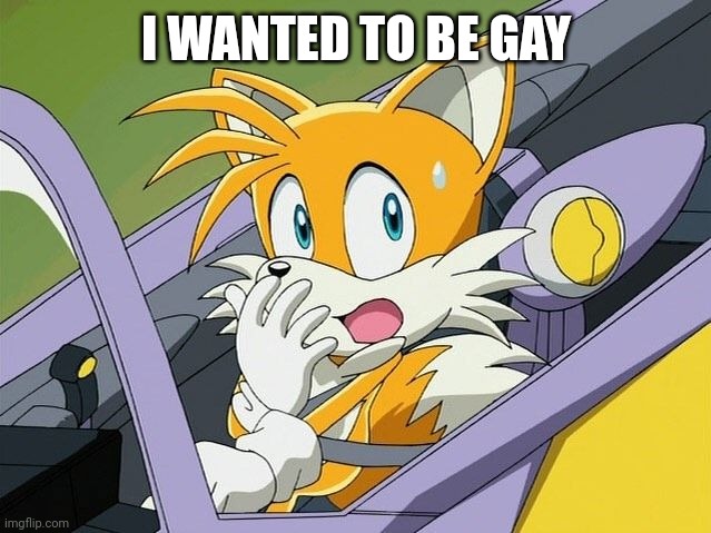 I WANTED TO BE GAY | image tagged in tails | made w/ Imgflip meme maker
