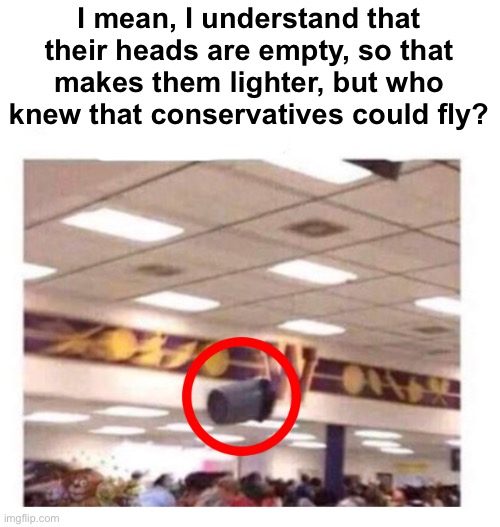 I just learned this | I mean, I understand that their heads are empty, so that makes them lighter, but who knew that conservatives could fly? | image tagged in wtf --------- can fly | made w/ Imgflip meme maker