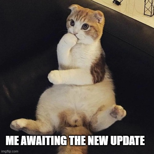 ME AWAITING THE NEW UPDATE | made w/ Imgflip meme maker