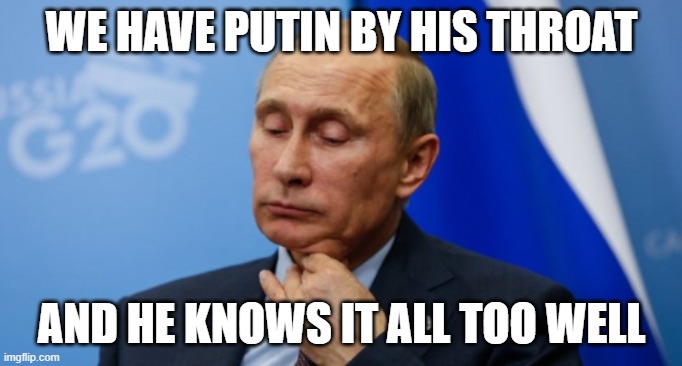 putin throat | WE HAVE PUTIN BY HIS THROAT; AND HE KNOWS IT ALL TOO WELL | image tagged in putin throat | made w/ Imgflip meme maker