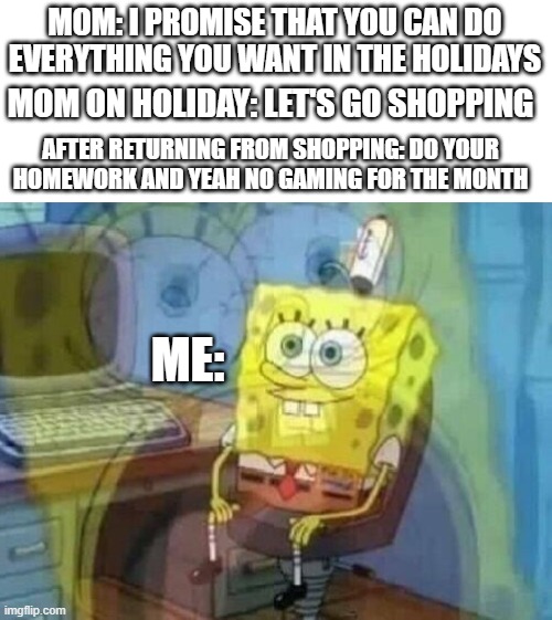 what a cruel world | MOM: I PROMISE THAT YOU CAN DO EVERYTHING YOU WANT IN THE HOLIDAYS; MOM ON HOLIDAY: LET'S GO SHOPPING; AFTER RETURNING FROM SHOPPING: DO YOUR HOMEWORK AND YEAH NO GAMING FOR THE MONTH; ME: | image tagged in internal screaming | made w/ Imgflip meme maker