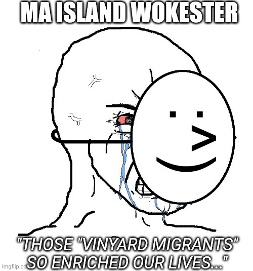 Adios Amigos, we hardly knew you | MA ISLAND WOKESTER; "THOSE "VINYARD MIGRANTS" SO ENRICHED OUR LIVES..." | image tagged in pretending to be happy hiding crying behind a mask,fire,useless,democrats,vote,republican | made w/ Imgflip meme maker