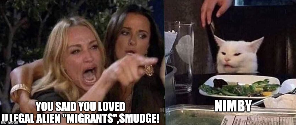 Your replacements are coming | NIMBY; YOU SAID YOU LOVED ILLEGAL ALIEN "MIGRANTS",SMUDGE! | image tagged in woman yelling at cat,send help,democrats,why am i in hell | made w/ Imgflip meme maker