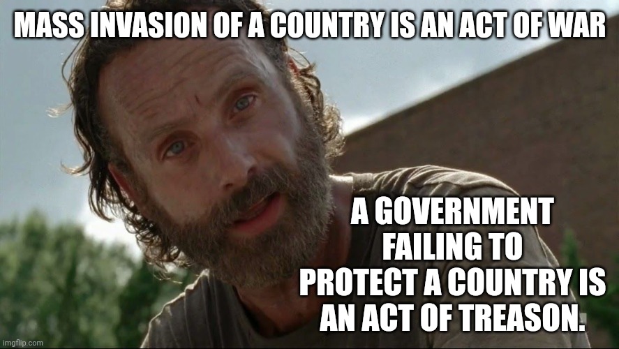 The entire Biden administration is guilty of treason. | MASS INVASION OF A COUNTRY IS AN ACT OF WAR; A GOVERNMENT FAILING TO PROTECT A COUNTRY IS AN ACT OF TREASON. | image tagged in rick grimes | made w/ Imgflip meme maker