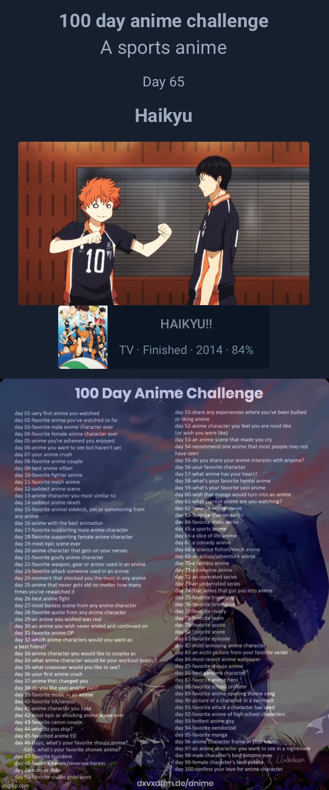 image tagged in 100 day anime challenge | made w/ Imgflip meme maker