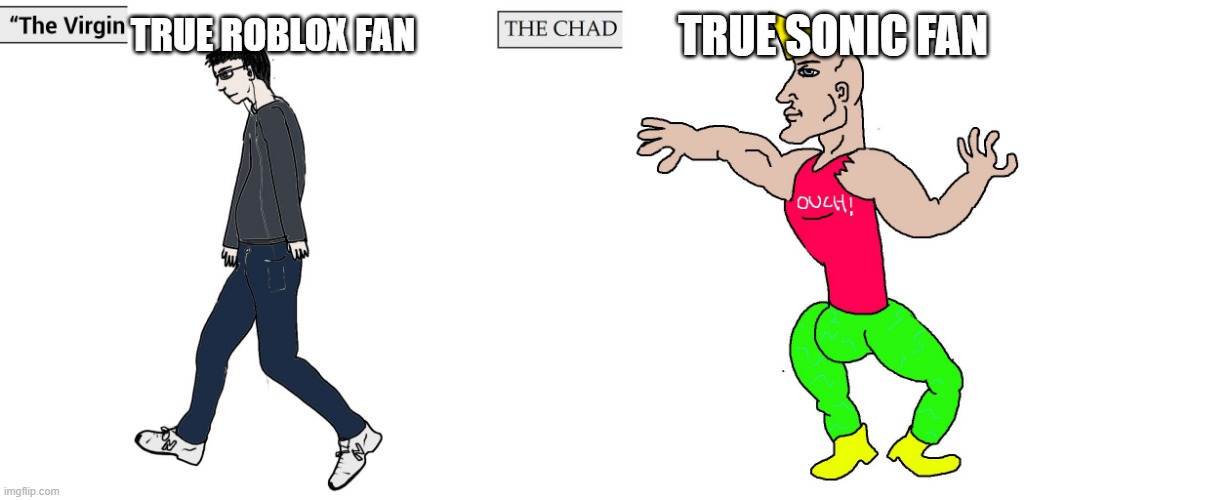 win de sanik comunity reses | TRUE ROBLOX FAN; TRUE SONIC FAN | image tagged in virgin and chad | made w/ Imgflip meme maker