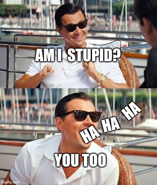 Leonardo Dicaprio Wolf Of Wall Street Meme | AM I  STUPID? HA; HA; HA; YOU TOO | image tagged in memes,leonardo dicaprio wolf of wall street | made w/ Imgflip meme maker