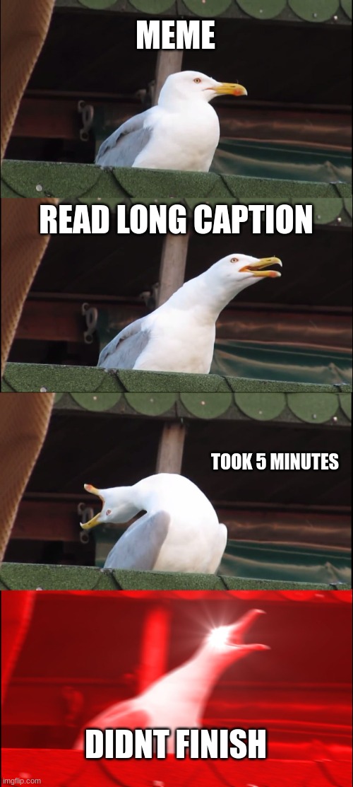 Inhaling Seagull Meme | MEME READ LONG CAPTION TOOK 5 MINUTES DIDNT FINISH | image tagged in memes,inhaling seagull | made w/ Imgflip meme maker