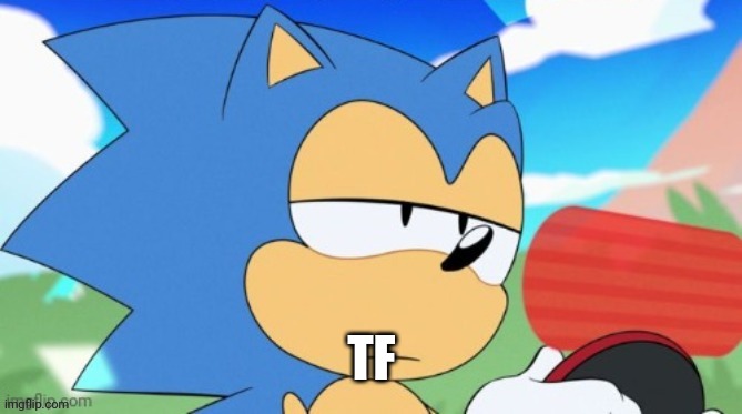 sonic unamused | TF | image tagged in sonic unamused | made w/ Imgflip meme maker