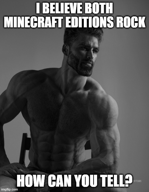 Noice | I BELIEVE BOTH MINECRAFT EDITIONS ROCK; HOW CAN YOU TELL? | image tagged in giga chad | made w/ Imgflip meme maker
