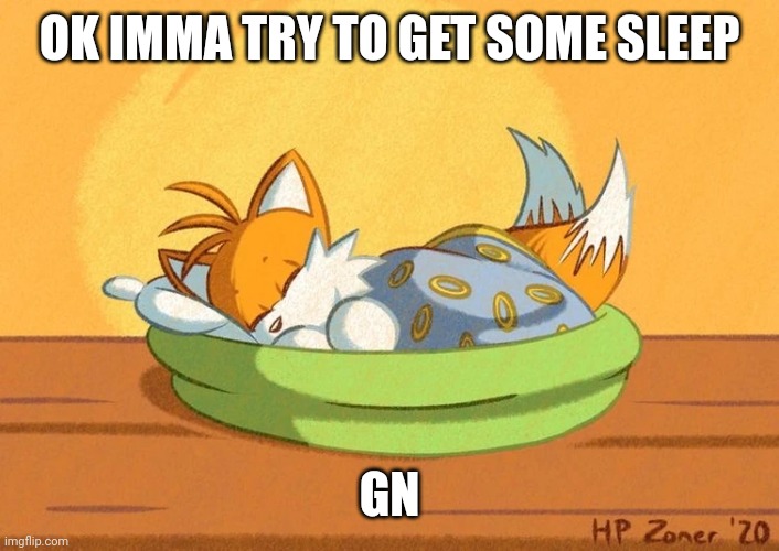 OK IMMA TRY TO GET SOME SLEEP; GN | image tagged in tails | made w/ Imgflip meme maker