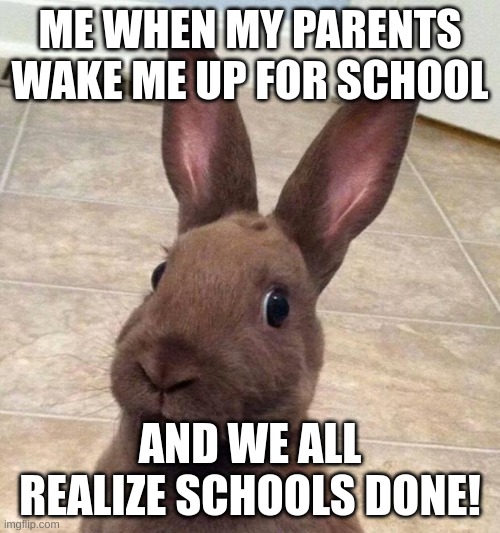oh no school? HURAY!! | ME WHEN MY PARENTS WAKE ME UP FOR SCHOOL; AND WE ALL REALIZE SCHOOLS DONE! | image tagged in really rabbit | made w/ Imgflip meme maker