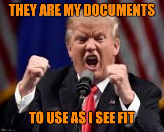 Trump playing 5d chess | THEY ARE MY DOCUMENTS; TO USE AS I SEE FIT | image tagged in trump angry punch | made w/ Imgflip meme maker